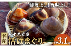 活はまぐり約3.1kg 九十九里産 国産 はまぐり 活はまぐり 貝類 貝 魚貝類 無添加 魚介 海の幸 海 海鮮 海産物 鍋 バーベキュー BBQ お吸い物 産地直送 ご馳走 蛤 贈答 ギフト プレゼント 贈答 記念日 お祝い 送料無料 ふるさと納税 飯岡ヤマイチ水産-大納屋- メディア 千葉県 旭市 iys010