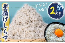 釜揚げしらす 約2kg (約250gx8P小分け包装) ふっくら しらす 九十九里産 シラス 釜揚げ 天日干し 魚介類 無添加 魚介 海の幸 海 魚 贈答 ギフト プレゼント 贈答 記念日 お祝い 送料無料 ふるさと納税 飯岡ヤマイチ水産-大納屋- メディア 千葉県 旭市