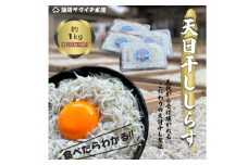 天日干し しらす 1kg (250gx4P) しらす シラス 天日干ししらす しらす丼 シラス丼 海の幸 小分け 手釜製法 魚介 小魚 魚 鮮魚 海鮮 加工品 1kg 人気 おすすめ  千葉県旭市産 冷凍 贈答 ギフト プレゼント 記念日 お祝い 送料無料 ふるさと納税 飯岡ヤマイチ水産-大納屋- メディア 千葉県 旭市 iys012