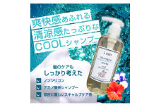 シャンプー Lish クールシャンプー ハイビスカス&アイリスの香り 300ml × 1本 頭皮ケア ダメージケア ノンシリコン ハリ コシ はり こし 爽快感 清涼感 メントール さっぱり COOL クール さらさら まとまる 泡立ち こだわり 男性 女性 スキャルプ系 アミノ酸系 リラックス  美容院 髪質 質感 ポンプ式 送料無料 ふるさと納税 Lish リッシュ 千葉県 旭市 lis002