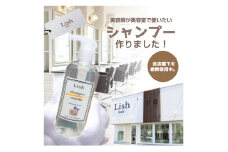 シャンプー Lish スムースシャンプー ハイビスカス & アイリスの香り 300ml × 1本 頭皮ケア ノンシリコン ハリ コシ はり こし ボリューム アップ さっぱり まとまる 泡立ち こだわり 男性 女性 スムースタイプ アミノ酸系 リラックス 美容師 美容院 髪質 質感 ポンプ式 送料無料 Lish リッシュ 千葉県 旭市 lis004