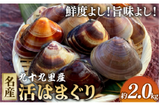 活はまぐり約2.0kg 九十九里産 国産 はまぐり 活はまぐり 貝類 貝 魚貝類 無添加 魚介 海の幸 海鮮 海産物 鍋 バーベキュー BBQ お吸い物 産地直送 ご馳走 蛤 贈答 ギフト プレゼント 贈答 記念日 お祝い 送料無料 千葉県 旭 飯岡ヤマイチ水産-大納屋- メディア 千葉県 旭市