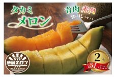 ＜2025年先行受付＞飯岡メロン(青肉・赤肉セット)5L(約1.7kg)各1玉 メロン 飯岡メロン 大玉  青肉メロン 赤肉メロン フルーツ 果物 プレゼント 贈答 ギフト デザート スイーツ お菓子 おやつ 青肉 赤肉 野菜 青果 お祝い お礼 誕生日 甘い 糖度 千葉県 旭市