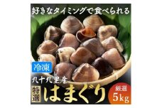 九十九里産 冷凍 はまぐり 5kg  冷凍はまぐり 瞬間冷凍 急速冷凍 天然  蛤 ハマグリ 活 魚介 魚貝 海鮮  貝  出汁 だし 味噌汁 酒蒸し グラタン 九十九里浜  お祝い 祝い ひなまつり 節句 おせち 贅沢 人気 おすすめ 贈答 ギフト お取り寄せ 送料無料 ふるさと納税  千葉県 旭市 fdm013