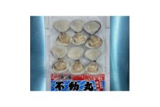 はまぐり 九十九里産 酒蒸し 冷凍 1.2kg（300g×4袋）ハマグリ 冷凍はまぐり 瞬間冷凍 急速冷凍 天然  蛤  魚介 魚貝 海鮮  貝  出汁 だし 味噌汁 グラタン 九十九里浜  お祝い 祝い ひなまつり 節句 おせち 贅沢 人気 おすすめ 贈答 ギフト お取り寄せ 送料無料 ふるさと納税  不動丸 千葉県 旭市