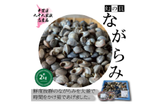 九十九里産 釜茹でながらみ 約 2kg ( 1kg ×2P) 小分け包装 九十九里産 九十九里 九十九里浜 ながらみ 小分け 巻き貝 珍味 貝類 貝 釜茹で 魚貝類 無添加 魚介 贈答 ギフト プレゼント 贈答 記念日 お祝い 送料無料 千葉県 旭 飯岡ヤマイチ水産-大納屋- 千葉県 旭市 iys015