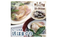 天然 活はまぐり 詰合せ 全6回発送 ＜ 定期便 固定月 ＞ 九十九里産 国産 はまぐり 貝類 貝 魚貝類 無添加 魚介 海の幸 海 鍋 バーベキュー BBQ お吸い物 産地直送 ご馳走 蛤 贈答 ギフト プレゼント 贈答 記念日 お祝い 送料無料 千葉県 旭 飯岡ヤマイチ水産-大納屋- 千葉県 旭市