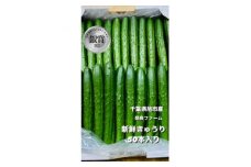【2026年度発送 先行予約】 ＜産直＞きゅうり50本 きゅうり 胡瓜 野菜 夏野菜 サラダ 冷麺 漬物 漬け物 ぬか漬け 酢の物 1本漬け 浅漬け 冷やしきゅうり キムチ きゅうりちくわ ちくわきゅうり 産地直送 新鮮  千葉県 旭市 奈良ファーム nrf001