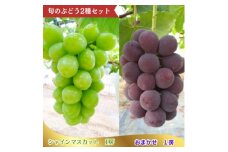 【2025年 先行予約 】 ぶどう 詰め合わせ セット シャインマスカット 1房 おまかせぶどう1房 計2房 ( 約1.2kg ) シャインマスカット マスカット ブドウ 葡萄 フルーツ 果物 詰合せ つめあわせ 種なし 種無し 贈答 ギフト プレゼント 贈り物 おまかせ 品種おまかせ デザート スイーツ 旬 千葉県 旭市 たかの果樹園 tke001