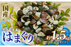 はまぐり 約1.5kg ( 約500g 【20~40gサイズ】× 3パック ) 千葉県産  液体冷凍 九十九里 貝 海鮮 砂抜き 国産 蛤 ハマグリ 冷凍 冷凍配送 長期保存 味噌汁 お吸い物  酒蒸し グラタン だし 出汁 網焼き クラムチャウダー 炊き込みご飯 バーベキュー 千葉県 旭市 治吉水産 hys001