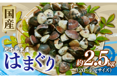 はまぐり 約2.5kg (約500g 【20~40gサイズ】× 5P)  千葉県産  液体冷凍 九十九里 貝 海鮮 砂抜き 国産 蛤 ハマグリ 冷凍 冷凍配送 長期保存 味噌汁 お吸い物  酒蒸し グラタン だし 出汁 網焼き クラムチャウダー 炊き込みご飯 バーベキュー BBQ 千葉県 旭市 治吉水産 hys004