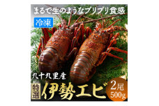 あま～い! 美味い! リキッド 凍結伊勢海老  刺身用 2尾(計500g) イセエビ エビ プリプリ  急速冷凍 瞬間冷凍 冷凍 真空個装 真空パック 刺身 生食用 魚介 魚貝 鮮魚 新鮮 高級 人気 お祝い ギフト 贈り物 贈答 お取り寄せ グルメ おすすめ 送料無料 ふるさと納税 不動丸 千葉県 旭市 fdm019