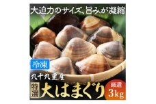 はまぐり 3kg 大サイズ 九十九里 九十九里産 瞬間冷凍 蛤 ハマグリ 天然 漁師直送 鮮度 砂抜き 味噌汁 酒蒸し グラタン だし ダシ 出汁 クラムチャウダー 炊き込みご飯 旨味 贅沢 厳選 ご褒美 豪華 ギフト プレゼント 贈答  贈答用 記念日 家族 友人 パーティー 食事会 お祝い 祝い 送料無料 ふるさと納税 不動丸 千葉県 旭市