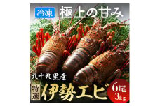 伊勢海老 活け〆リキッド冷凍伊勢海老 刺身用 6尾 約3kg 九十九里 新鮮 刺し身 刺身 さしみ 真空 冷凍  旨味 甘み 鮮度 美味しい 贅沢 ご褒美 豪華 ギフト プレゼント 贈答  贈答用 記念日 家族 友人 パーティー 食事会 お祝い 祝い 人気 おすすめ 送料無料 ふるさと納税 不動丸 千葉県 旭市 fdm027X1