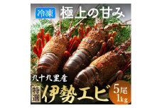 伊勢海老 活け〆リキッド冷凍 刺身用 5尾 約1kg 九十九里 新鮮 伊勢 海老 刺し身 刺身 さしみ 真空 冷凍  旨味 甘み 鮮度 美味しい 贅沢 ご褒美 豪華 ギフト プレゼント 贈答  贈答用 記念日 家族 友人 パーティー 食事会 お祝い 祝い 送料無料 ふるさと納税 不動丸 千葉県 旭市 fdm028