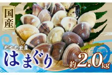 はまぐり 合計 約 2kg 30-60g/60-90g 各2パック  千葉県産  液体冷凍 九十九里 貝 魚貝 海鮮 砂抜き 国産 蛤 ハマグリ 冷凍 冷凍配送 長期保存 味噌汁 お吸い物  酒蒸し グラタン だし 出汁 網焼き クラムチャウダー 炊き込みご飯 バーベキュー BBQ 千葉県 旭市 治吉水産 hys015