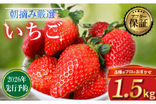【2026年2月より発送】 【先行予約】品種おまかせいちご 1500g  1.5kg  新鮮 産地直送 朝摘み 厳選 アフター 保証 付きいちご 苺 フルーツ 果物 くだもの 品種おまかせ おまかせ とちおとめ やよいひめ おいCベリー かおり野  スターナイト お菓子 デザート スイーツ 千葉県 旭市 滑川いちご園 nmi003