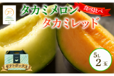 ＜2025年 先行予約 ＞ 【 贈答用 】 タカミメロン 青肉 & 赤肉 セット 5L × 各1玉（計2玉セット） 6月 7月 発送 産地直送 メロン 食べ比べ 高級 ブランド 糖度  貴味 タカミ タカミレッド 飯岡メロン ブランドメロン 贈り物 贈答 ギフト プレゼント ギフトボックス 果物 フルーツ おすすめ 人気 デザート 千葉県 旭市 飯岡 石毛農園 igf009