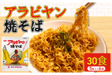アラビヤン焼きそば 30食 （5食入り×6袋［1袋【100g】］）  アラビヤンやきそば やきそば 焼きそば 焼そば そば 袋麺 袋めん 乾麺  インスタント B級グルメ ご当地グルメ 15000円 15,000円 千葉県 旭市 ロクロクパーク rrp004