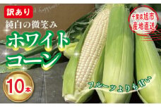 【先行予約】 訳あり 白 とうもろこし 10本 ホワイトコーン 2025年7月中旬～発送開始予定 数量限定 期間限定 ジューシー 甘い シャキシャキ 白い トウモロコシ コーン 白いとうもろこし 旬 野菜 夏野菜 冷蔵発送 送料無料 産地直送 千葉県 旭市 stf006