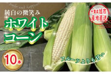 【先行予約】 白 とうもろこし 10本 約3.2kg～4.8kg ホワイトコーン 2025年7月中旬～発送開始予定 数量限定 期間限定 ジューシー 甘い シャキシャキ 白い トウモロコシ コーン 白いとうもろこし 旬 野菜 夏野菜 冷蔵発送 送料無料 産地直送 千葉県 旭市 stf005