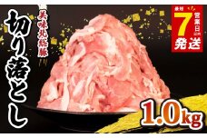 ＼最短7営業日以内発送／ 豚肉 切り落とし 1.0 kg 小分け 真空パック 千葉県 産 銘柄 美味北総豚 豚 豚こま肉 豚コマ肉 国産 こま肉 500g 冷凍 カレー 鍋 野菜 炒め 炒め物 煮物 家庭用 送料無料 産地直送 新鮮 人気 便利 美味しい 時短 料理 千葉県 旭市 旭食肉協同組合 ask010