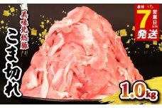 豚肉 こま切れ 1kg ＜ 最短7営業日以内発送 ＞ 豚こま 小分け 真空パック 500g 国産 千葉県産 銘柄 美味北総豚 豚 豚こま肉 豚コマ肉 こま肉 切り落とし カレー 鍋 野菜 炒め 炒め物 煮物 家庭用 送料無料 産地直送 便利 人気 おすすめ 新鮮 時短 冷凍 千葉県 旭市 旭食肉協同組合 ask010