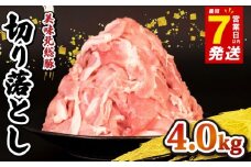 ＼最短7営業日以内発送／ 豚肉 切り落とし 4.0 kg 小分け 真空パック 千葉 県 産 銘柄 美味北総豚 豚 豚こま肉 豚コマ肉 国産 こま肉 500g 冷凍 カレー 鍋 野菜 炒め 炒め物 煮物 家庭用 送料無料 産地直送 便利 人気 新鮮 美味しい 時短 料理 千葉県 旭市 旭食肉協同組合 ask012