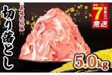 ＼最短7営業日以内発送／ 豚肉 切り落とし 5.0 kg 小分け 真空パック 千葉県 産 銘柄 美味北総豚 豚 豚こま肉 豚コマ肉 国産 こま肉 500g 冷凍 カレー 鍋 野菜 炒め 炒め物 煮物 家庭用 送料無料 産地直送 人気 新鮮 美味しい 便利 時短 料理 千葉県 旭市 旭食肉協同組合 ask013