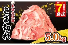 豚肉 こま切れ 5kg ＜ 最短7営業日以内発送 ＞ 豚こま 小分け 真空パック 500g 国産 千葉県産 銘柄 美味北総豚 豚 豚こま肉 豚コマ肉 こま肉 切り落とし カレー 鍋 野菜 炒め 炒め物 煮物 家庭用 送料無料 産地直送 便利 人気 おすすめ 新鮮 時短 冷凍 千葉県 旭市 旭食肉協同組合 ask013