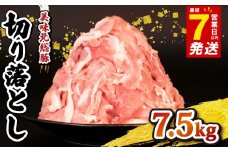 ＼最短7営業日以内発送／ 豚肉 切り落とし 7.5 kg 小分け 真空パック 千葉県 産 銘柄 美味北総豚 豚 豚こま肉 豚コマ肉 国産 こま肉 500g 冷凍 カレー 鍋 野菜 炒め 炒め物 煮物 家庭用 送料無料 産地直送 人気 新鮮 美味しい 便利 時短 料理 千葉県 旭市 旭食肉協同組合 ask014