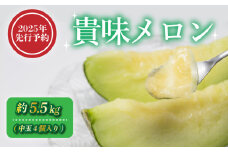 【2025年 先行予約 】 貴味 メロン 約5.5kg 青肉 めろん melon 甘いメロン タカミメロン デザート ジューシー 産地直送 高級 ブランド 美味しい おいしい 糖度 甘い あまい おすすめ 人気 旬 果物 くだもの フルーツ 国産 季節限定 期間限定 数量限定 ギフト 贈り物 贈答 プレゼント 千葉県 旭市 向後メロン園 kug002