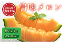 【2025年 先行予約 】 貴味 メロン 約5.5kg 赤肉 めろん melon 甘いメロン タカミメロン デザート ジューシー 産地直送 高級 ブランド 美味しい おいしい 糖度 甘い あまい おすすめ 人気 旬 果物 くだもの フルーツ 国産 季節限定 期間限定 数量限定 ギフト 贈り物 贈答 プレゼント 千葉県 旭市 向後メロン園 kug004