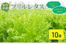フリルレタス 10袋 セット 【 先行予約 】【11月中旬～発送】 新鮮レタス フレッシュ レタス サラダ 野菜 やさい こだわり 産地直送 土壌栽培 新鮮 とれたて 採れたて 冷蔵 低カロリー ヘルシー レタスボウル 健康 弁当 食卓 ダイエット 千葉県 旭市 Farm Fujinaga ffn003