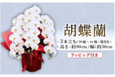 胡蝶蘭 3本立ち ラッピング付き 開花輪30輪以上 花 お花 flower 洋ラン コンパクト 植物 開花輪 生花 大輪胡蝶蘭 蘭 こちょうらん 白色 鉢花 家庭用 鑑賞 インテリア 贈答 記念日 ギフト プレゼント お祝い 祝い 誕生日 還暦 米寿 お歳暮 お中元 贈り物 母の日 開店祝い 豪華 産地直送 ふるさと納税 千葉県 旭市 石毛洋蘭園 igr001