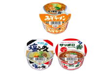サッポロ一番 ミニどんぶり バラエティセット３種（ しょうゆ味 みそラーメン 塩らーめん ）×各４食入り 計 12食 セット インスタント 醤油 味噌 ラーメン 詰め合わせ ミニ カップ麺 アソート カップヌードル 即席麺 非常食 保存食 常温 保存 千葉県 旭市 サンヨー食品 set008