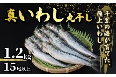 ＼最短7営業日以内発送／ いわし 丸干し 約 1.2kg 15尾以上 国産 千葉県産 真いわし 真鰯 イワシ スピード発送 冷凍 鰯 簡単調理 手軽 料理 和食 おすすめ ご飯 の お供 おかず 惣菜 お弁当 おつまみ 珍味 酒 ビール 日本酒 焼酎 に合う 夕食 食卓 人気 魚 海鮮 水産 水産加工品 千葉県 旭市 有限会社井上商店 ius002
