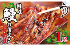 ＼最短7営業日以内発送／ 国産鰻 の 蒲焼き 国産うなぎ 1尾 山椒 タレ つき 半身 カット 国産 うなぎ ウナギ 鰻 炭火焼 炭火 うなぎ蒲焼き うな重 ひつまぶし 蒲焼 人気 おすすめ 丑の日 贈り物 贈答 ギフト プレゼント 送料無料 千葉県 旭市 川千家 kty001