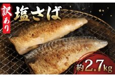 ＼最短7営業日以内発送／ 訳あり 塩さば フィーレ 約2.7kg 20尾以上 塩サバ 塩鯖 鯖 さば サバ スピード発送 冷凍 簡単調理 手軽 料理 和食 おかず 惣菜 お弁当 夕食 食卓 家庭用 魚 海鮮 水産 水産加工品 送料無料 千葉県 旭市 有限会社井上商店 ius001