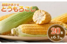 とうもろこし 20本 約6～ 7kg 品種 おまかせ 数量限定 期間限定 ゴールドラッシュ おおもの ジューシー 甘い シャキシャキ 黄色い トウモロコシ コーン 茹で 焼き コーンスープ オススメ 旬 野菜 夏野菜 冷蔵 発送 送料無料 産地直送 千葉県 旭市 株式会社勘兵衛 knb002