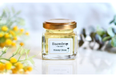 スタイリング 剤 Snowdrop ( スノードロップ )  オーガニック ハニーグロス 45g × 2本 ハチミツ 蜂蜜  スタイリング剤 グロス サロン 美容師 美容院 保湿力 キープ力 パーマ 巻き髪 濡れ髪 濡れ感 髪 髪質 潤い つけ心地 さらさら 安心 安全 送料無料 千葉県 旭市 株式会社Oneworld shn015