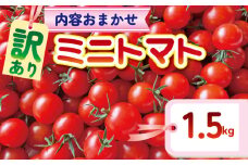 【訳あり】 品種おまかせ ミニトマト (2種以上) 1.5kg とまと トマト ミニトマト みにとまと 完熟 期間限定 冷蔵 常温 プチ プチトマト 野菜 サラダ お弁当 産地直送 新鮮 国産 千葉県産 美容 健康 厳選 おまかせ お楽しみ セット ランダム 千葉県 旭市 Sai10faRM stf002