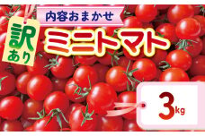 【訳あり】 品種おまかせ ミニトマト (2種以上) 3kg とまと トマト ミニトマト みにとまと 完熟 期間限定 冷蔵 常温 プチ プチトマト 野菜 サラダ 産地直送 新鮮 国産 千葉県産 美容 健康 厳選 おまかせ お楽しみ セット ランダム 千葉県 旭市 Sai10faRM stf003