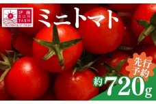 【 訳あり 】【 先行予約 】  ミニトマト 約 720g トマト プチトマト 期間限定 数量限定 甘い 野菜 やさい サラダ フルーツ 旬 濃厚 送料無料 小分け 千葉県 旭市 伊藤SUN FARM isf002