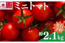 【 先行予約 】 ミニトマト 約 2 kg 以上 トマト プチトマト 期間限定 数量限定 甘い 野菜 やさい サラダ フルーツ 新鮮 旬 濃厚 小分け 人気 おすすめ サラダ お弁当 送料無料 産地直送 千葉県 旭市 伊藤SUN FARM isf001