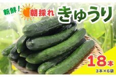 新鮮 朝採れきゅうり 18本入り きゅうり 胡瓜 野菜 夏野菜 サラダ 冷麺 漬物 漬け物 ぬか漬け 酢の物 1本漬け 浅漬け 冷やしきゅうり キムチ きゅうりちくわ ちくわきゅうり 産地直送 新鮮 千葉県 旭市 SHIfT園芸 shi001