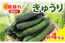 訳あり きゅうり 約4kg きゅうり 胡瓜 野菜 夏野菜 サラダ 冷麺 漬物 漬け物 ぬか漬け 酢の物 1本漬け 浅漬け 冷やしきゅうり キムチ きゅうりちくわ ちくわきゅうり 産地直送 新鮮 訳あり 千葉県 旭市 shi003