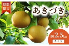 【 数量限定 】 梨 あきづき  約 2.5kg 5玉～8玉 なし 旬 和梨 千葉県産 国産 2025年 9月～ 発送 果物 フルーツ くだもの 果汁 甘み 甘い 糖度 酸味 旬の梨 秋 季節の果物 デザート 産地直送 新鮮 鮮度 厳選 ふるさと納税 産地 送料無料 千葉県 千葉 旭市 旭市産 齋藤園 ste002