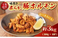 豚 ホルモン 国産豚 柔らか 豚ホルモン 味付き タレ 選べる 容量 約3kg 【最短7営業日以内発送】 千葉県産 豚肉 もつ 肉 niku 希少 冷凍 小分け 便利 簡単調理 カット 時短 炒め物 おかず 食卓 おつまみ お酒 新鮮 真空パック 送料無料 千葉県 旭市 産地直送 旭食肉協同組合 ask025