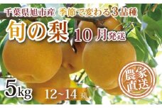 【 先行予約 】【 10月発送 】 梨 旬の梨 約 5kg 幸水 豊水 あきづき 12 ～ 14玉 梨 なし 旬 千葉 千葉県産 〈 2025年 10月 発送 〉みずみずしい 糖度 甘み 甘い くだもの 果物 フルーツ ふるさと納税 産地 産地直送 送料無料 千葉県 旭市 旭市産 まる吉園 mkn005